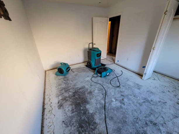 Best Carpet water damage restoration  in Mickleton, NJ