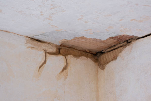 Best Sewage cleanup and water damage restoration  in Mickleton, NJ